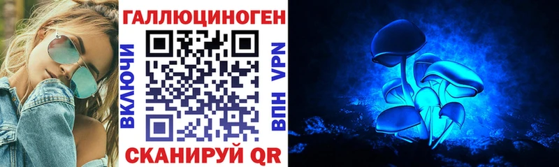 Псилоцибиновые грибы Psilocybine cubensis купить цена Лыткарино